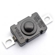 KAN-28/2pins 18*12 Switch/1.5A 250V Self Lock Button