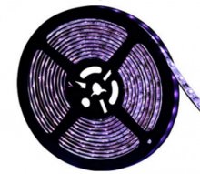 UV 12V5050 High Brightness Waterproof 12V Purple Light Strip IP65 5M/Reel