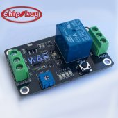 555 triggering timer relay module
