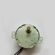 Pole permanent magnet synchronous motor TYJ50-8 5/6/min turn 220V