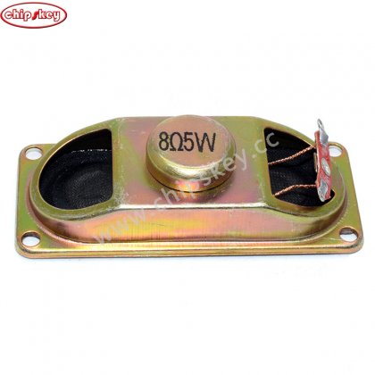 5W 8ohm 30*70mm Speaker