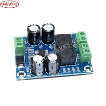 XH-M311 Mini Digital Amplifier Board TPA3118 Audio Amplifier Board Audio Power Amplifier Module Mono 60W