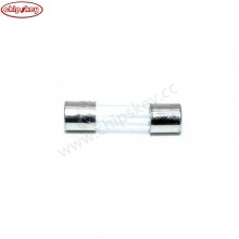 5*20 250V 2A Fuse