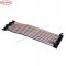 Female to Female jumper wire 1x40Pins 20CM
