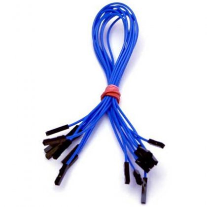 CAB_F-F 10pcs/set 25cm Female/Female Dupont Cable Blue For Breadboard