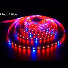 5red 1blue IP33 60LEDS/M IP33 Not-waterproof / Grow Light Phytolamp Full Spectrum 5M 300 LEDs 5050 SMD LED Strip for Plants Seeds Growing Greenhouse Indoor Hydroponic