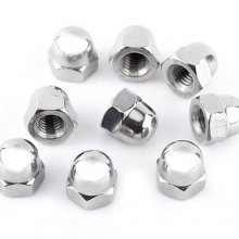 M5 Screw Nut (Price for 100pcs)