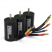 BL3660-KV3300 Brushless Motor