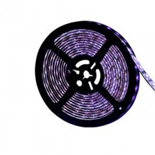 UV 12V5050 High Brightness Waterproof 12V Purple Light Strip IP65 5M/Reel