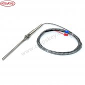 PT100 Φ5mm L=100mm PT100 tetrafluoro silver plated wire 2M Cable