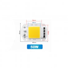 50W 110V Warm White LED light